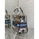 Special Grade Replica Dior Medium Lady D-Lite Bag with Constellation Embroidery, Blue/White Clone Sale