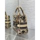 Special Grade Replica Dior Medium Lady D-Lite Canvas Cabinet De Curiosites Bag, Embroidered, Beige Clone Sale