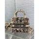 Special Grade Replica Dior Medium Lady D-Lite Canvas Cabinet De Curiosites Bag, Embroidered, Beige Clone Sale