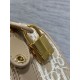 Special Grade Replica Dior Groove 20 Bag in Beige Dior Oblique Jacquard Clone Sale
