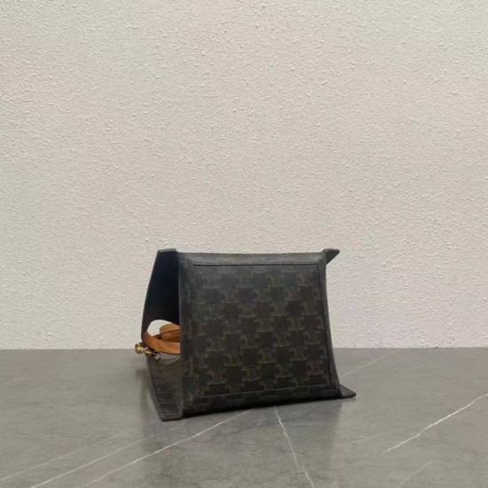 Special Grade Replica Celine Triomphe Small Canvas/Calfskin Cube Bag in Brown Clone Sale