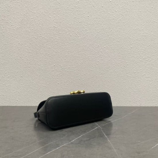 Special Grade Replica Celine Diane Shoulder Bag in Black Clone Sale
