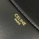 Special Grade Replica Celine Diane Shoulder Bag in Black Clone Sale