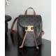 Replica Celine Backpack Celine Bonnie Triomphe Canvas Coffee