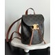 Replica Celine Backpack Celine Bonnie Triomphe Canvas Coffee