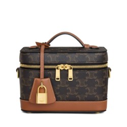 Replica Celine Vanity Triomphe Canvas Bag Coffee