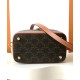 Replica Celine Vanity Triomphe Canvas Bag Coffee