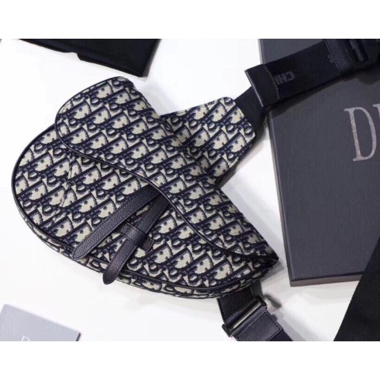 Fake Christian Dior Saddle Belt Men Bag Oblique Canvas Replica
