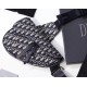 Fake Christian Dior Saddle Belt Men Bag Oblique Canvas Replica