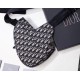 Fake Christian Dior Saddle Belt Men Bag Oblique Canvas Replica