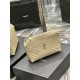 Fake YSL Saint Laurent Gaby Zipped Cosmetic Pouch 23CM Apricot Replica