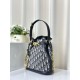 Fake Christian Dior Medium C'est Dior Bag Blue Dior Oblique Jacquard Replica