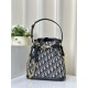 Fake Christian Dior Medium C'est Dior Bag Blue Dior Oblique Jacquard Replica