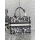 Fake Dior Small Book Tote Bag Plan de Paris Embroidery White Replica Replica Dior Small Book Tote Bag Plan de Paris Embroidery White