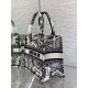 Fake Dior Small Book Tote Bag Plan de Paris Embroidery White Replica Replica Dior Small Book Tote Bag Plan de Paris Embroidery White