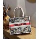 Replica Dior Small Book Tote In Multicolor Dior Constellation Embroidery