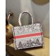 Replica Dior Small Book Tote In Multicolor Dior Constellation Embroidery