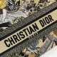 Replica Dior Medium Lady D-Lite Bag In Beige Jardin d'Hiver Embroidery Fake Dior Medium Lady D-Lite Bag In Beige Jardin d'Hiver Embroidery Replica