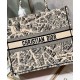Replica Christian Dior Large Dior Book Tote Bag Apricot