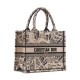 Fake Christian Dior Small Dior Book Tote Bag Apricot Replica