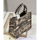 Fake Christian Dior Small Dior Book Tote Bag Apricot Replica