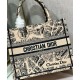 Fake Christian Dior Small Dior Book Tote Bag Apricot Replica