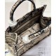 Fake Christian Dior Small Dior Book Tote Bag Apricot Replica