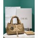 Replica Christian Dior Small /Medium Dior Toujours Bag Light Coffee