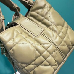 Replica Christian Dior Small /Medium Dior Toujours Bag Light Coffee