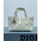 Fake Christian Dior Small /Medium Dior Toujours Bag Cream Replica