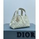 Fake Christian Dior Small /Medium Dior Toujours Bag Cream Replica