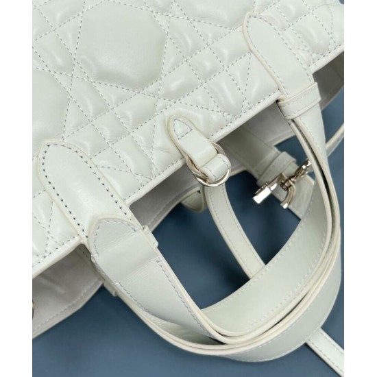 Fake Christian Dior Small /Medium Dior Toujours Bag Cream Replica