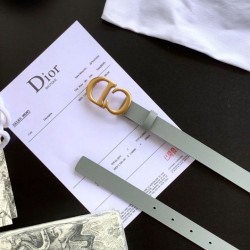 Replica Dior Saddle 20MM Belt Grey 