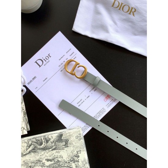 Replica Dior Saddle 20MM Belt Grey 