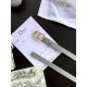 Replica Dior Saddle 20MM Belt Grey 