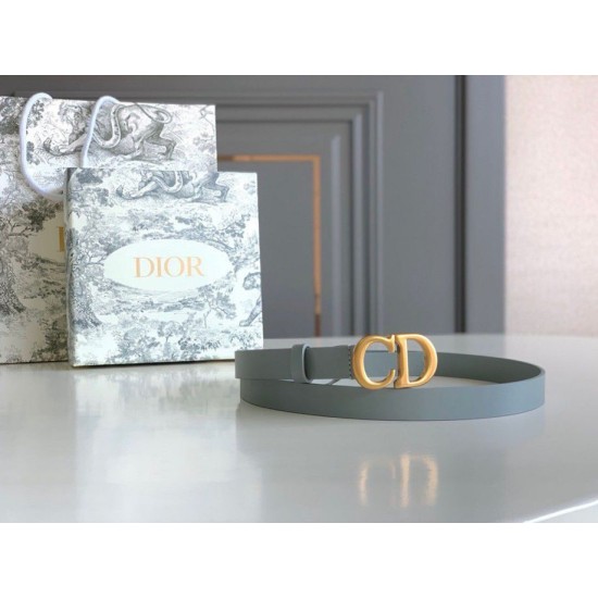 Replica Dior Saddle 20MM Belt Grey 