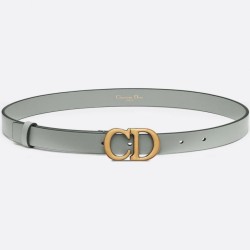 Replica Dior Saddle 20MM Belt Grey 