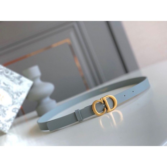 Replica Dior Saddle 20MM Belt Grey 