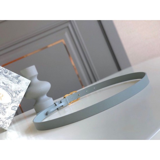 Replica Dior Saddle 20MM Belt Grey 