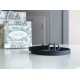 Fake Dior Saddle 20MM Belt Matte Calfskin Black  Replica