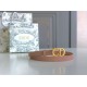 Replica Dior Saddle 20MM Belt Calfskin Nude 