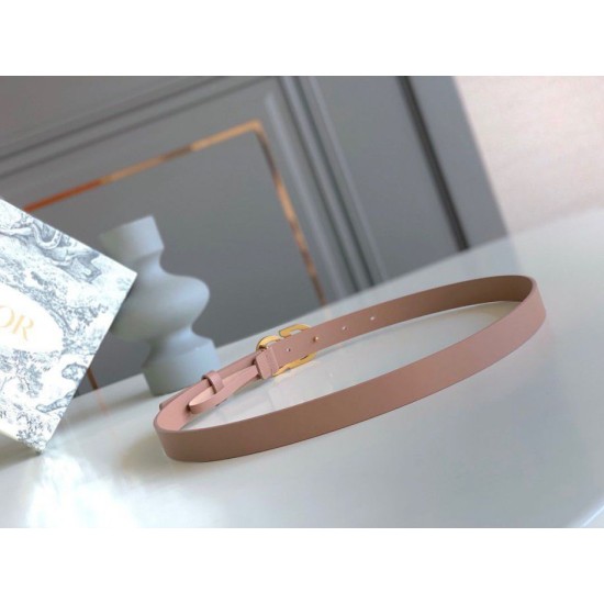 Replica Dior Saddle 20MM Belt Calfskin Nude 