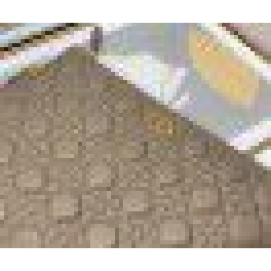 Fake Dior Large Caro Daily Pouch Beige Replica
