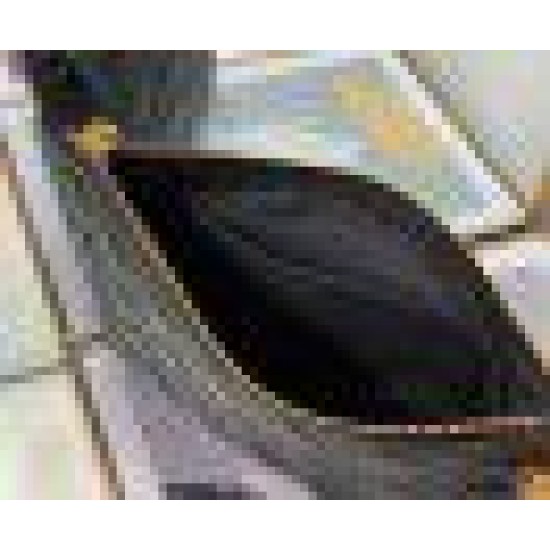 Fake Dior Large Caro Daily Pouch Black Replica