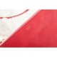 Fake Celine Small Trio Crossbody Bag In Red Calfskin Replica
