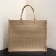 Replica Christian Dior Book Tote bag M1286 Apricot