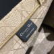 Replica Christian Dior Book Tote bag M1286 Apricot