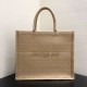Replica Christian Dior Book Tote bag M1286 Apricot