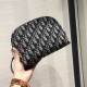 Fake Christian Dior Oblique Clutch Bag Replica