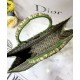 Fake Christian Dior Book Tote bag M1286 Green Replica